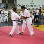 Brazil Nagata October 2019 14