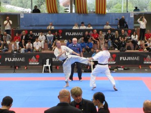 Euro Champ 7
