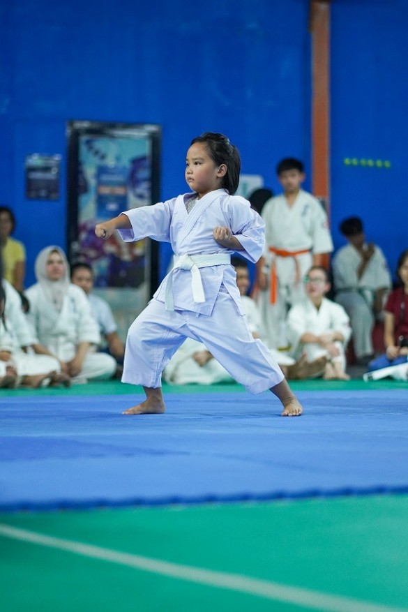 antar dojo 2642026.web2
