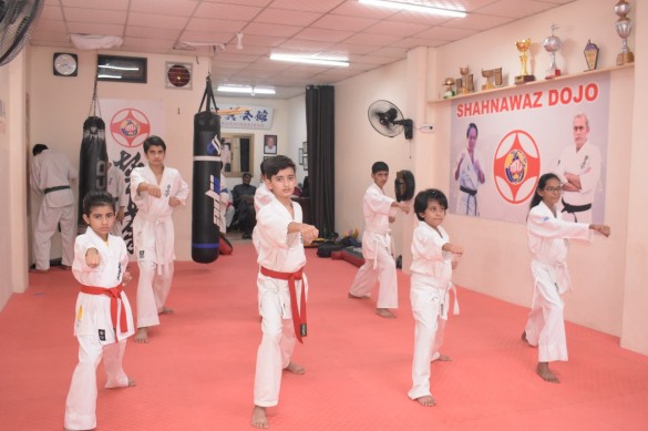 Shahnawaz Dojo 22Kyotest 19