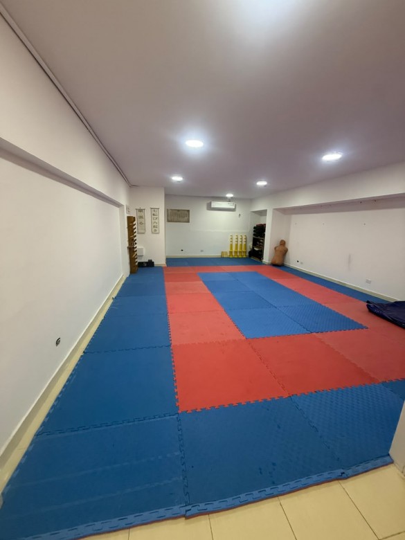 Bustos New Dojo 1