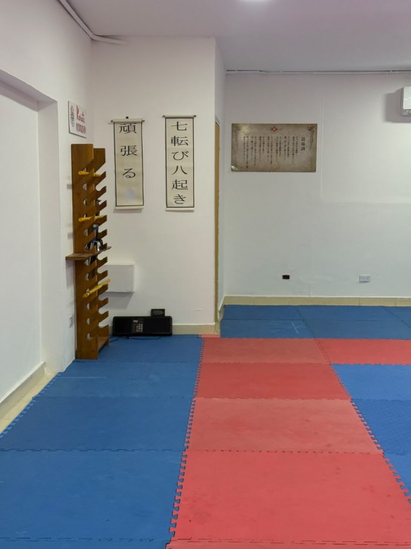 Bustos New Dojo 4
