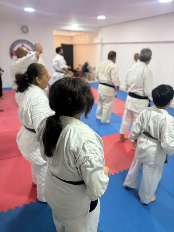 Bustos New Dojo 6